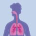 These 5 Simple Things Will Remove The Waste Of The Lungs, Every Breath Will Be Filtered
