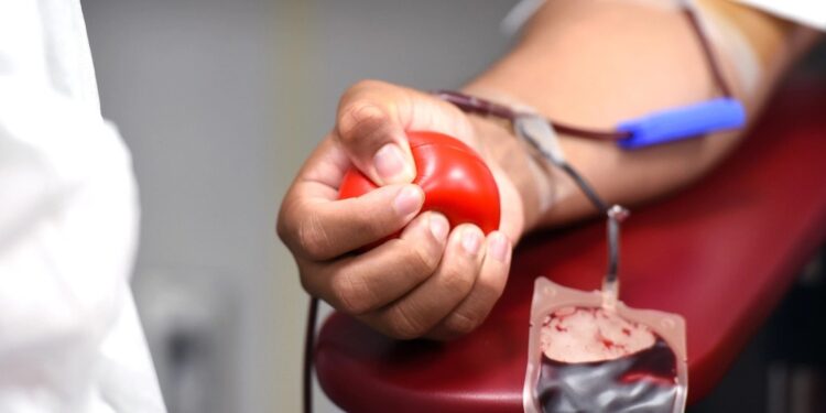 World Blood Donor Day 2023: Keep These Things In Mind Before Donating Blood