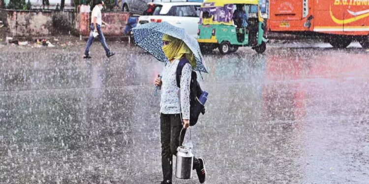 Maharashtra: Rain Alert In These Districts Including Mumbai, Pune, Read Weather Report