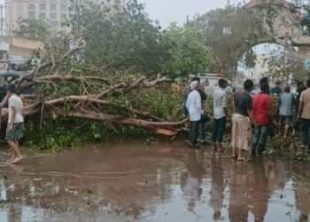 Cyclone Biparjoy: Rajasthan Prepares For Heavy Rain; Gujarat Faces Challenges Of Restoring Power And Clearing Roads – 10 Points
