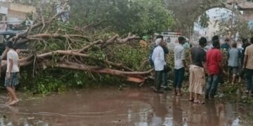 Cyclone Biparjoy: Rajasthan Prepares For Heavy Rain; Gujarat Faces Challenges Of Restoring Power And Clearing Roads – 10 Points