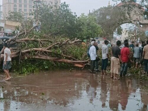 Cyclone Biparjoy: Rajasthan Prepares For Heavy Rain; Gujarat Faces Challenges Of Restoring Power And Clearing Roads – 10 Points