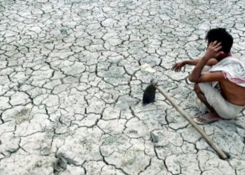 391 Farmers Committed Suicide In 5 Months In Marathwada, Maharashtra, 3 Farmers Are Embracing Death Everyday: Reports