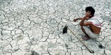 391 Farmers Committed Suicide In 5 Months In Marathwada, Maharashtra, 3 Farmers Are Embracing Death Everyday: Reports