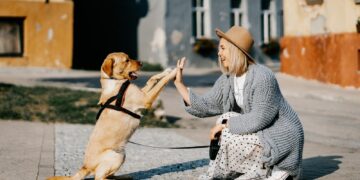 Keeping Your Pet Safe And Cool: Essential Tips For Summer