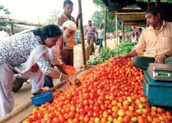 Another Hit Of Inflation! Tomato Prices Skyrocketed, Know What Is The Rate At Your Place