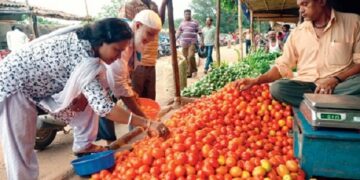 Another Hit Of Inflation! Tomato Prices Skyrocketed, Know What Is The Rate At Your Place