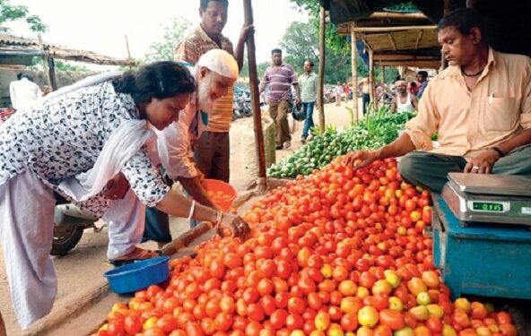 Another Hit Of Inflation! Tomato Prices Skyrocketed, Know What Is The Rate At Your Place