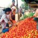 Another Hit Of Inflation! Tomato Prices Skyrocketed, Know What Is The Rate At Your Place