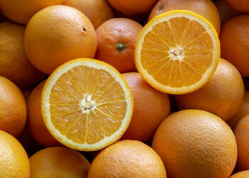 Nagpur Orange: The Golden Jewel Of Maharashtra’s Citrus Paradise .