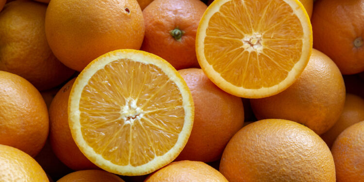 Nagpur Orange: The Golden Jewel Of Maharashtra’s Citrus Paradise .