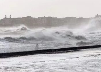 Power Lines Are Damaged By Cyclone Biparjoy In Kutch, Trees Are Uprooted, And Several Areas Are Completely Darkened
