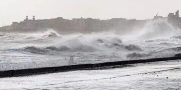 Power Lines Are Damaged By Cyclone Biparjoy In Kutch, Trees Are Uprooted, And Several Areas Are Completely Darkened