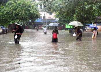 Officials Report 22 Deaths In Thane And 13 In Palghar Since The Beginning Of The Monsoon Season