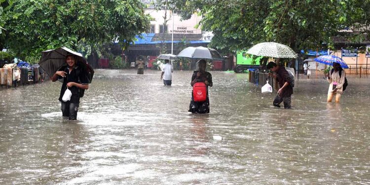 Officials Report 22 Deaths In Thane And 13 In Palghar Since The Beginning Of The Monsoon Season