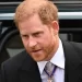 An Analyst Says Prince Harry Is About To Lose Another Significant Royal Position