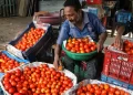 After Increased Supplies From Maharashtra, Tomato Prices Are Anticipated To Decline