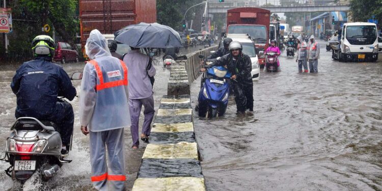 Heavy Rains Lash Raigad; Five Talukas Record Over 200 Mm Rain In A Day In Maharashtra