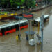 Rainfall In Vidarbha: More Than 100 Mm In Akola; Receding Flood Waters In Yavatmal And Buldhana