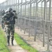 Pak Intruder Killed As BSF Obstructs Drug Trafficking Along The International Border In Samba, J&K