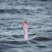 Maha: Three Boys Among 7 Worried To Have Drowned In Separate Incidents In Chandrapur And Mumbai