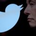 Elon Musk Will Replace Twitter’s Iconic Bird Logo And Will Share The New Design