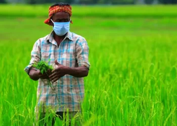 PM Modi Releases Rs 17,000 Crore For 8.5 Million Farmers In The PM-KISAN 14th Installment