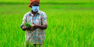 PM Modi Releases Rs 17,000 Crore For 8.5 Million Farmers In The PM-KISAN 14th Installment