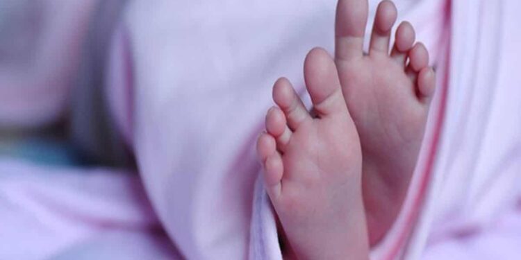 Maharashtra: Ailing Infant Dies After Failing To Get Treatment At PHC On Time Due To Lack Of Road In Village