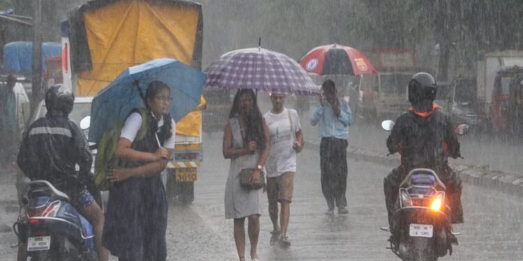 Warning Of Heavy Rain In Maharashtra Today, Meteorological Department’s Red Alert In These Four Districts Including Pune