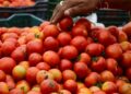 Pune Farmer Earns Rs 3 Crore By Selling Tomatoes In 1 Month