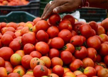 Pune Farmer Earns Rs 3 Crore By Selling Tomatoes In 1 Month