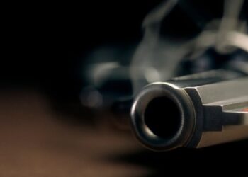 Maharashtra: Amravati ACP Shot His Wife And Nephew Late At Night, Then Killed Himself