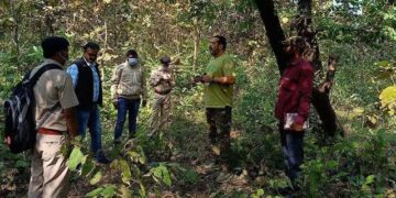 Maharashtra: STF Action In Tiger Poaching Case In Gadchiroli, 16 People Including Five Minors Arrested