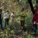 Maharashtra: STF Action In Tiger Poaching Case In Gadchiroli, 16 People Including Five Minors Arrested