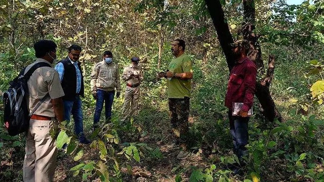 Maharashtra: STF Action In Tiger Poaching Case In Gadchiroli, 16 People Including Five Minors Arrested