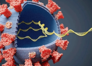 Mumbai Reports 6 New COVID-19 Cases, 0 Deaths, And A 25-Count Active Tally