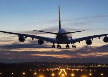 Professor Molested Woman In Flight From Delhi To Mumbai, Bail After Arrest