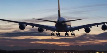 Professor Molested Woman In Flight From Delhi To Mumbai, Bail After Arrest