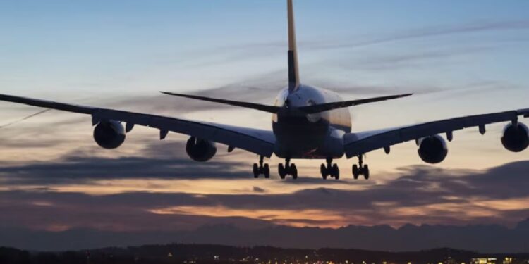 Professor Molested Woman In Flight From Delhi To Mumbai, Bail After Arrest