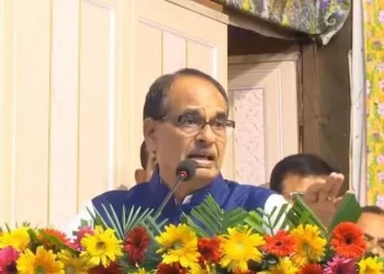 More Progress Was Made In MP During The BJP Government Than Under All Previous Governments And Kings Combined, According To Chouhan