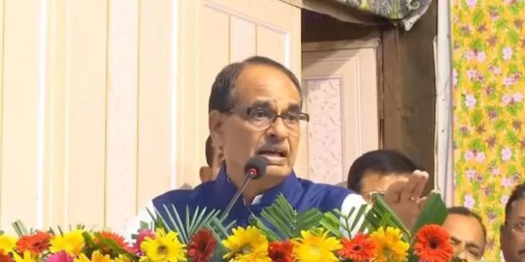 More Progress Was Made In MP During The BJP Government Than Under All Previous Governments And Kings Combined, According To Chouhan