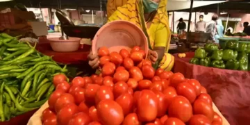 Maha: Theft Causes A Farmer To Lose 400 Kg Of Tomatoes