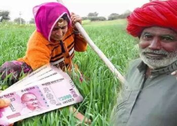 Check Your Name Is On The Beneficiary List For The 14th Installment Of The PM Kisan Samman Nidhi Yojana And View Additional Information Here