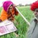 Check Your Name Is On The Beneficiary List For The 14th Installment Of The PM Kisan Samman Nidhi Yojana And View Additional Information Here
