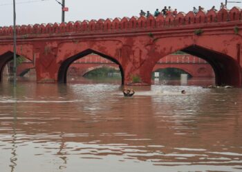 Delhi’s Flood Places Haryana’s Barrage At The Centre Of A Political Uproar Thanks To “an Organised Plan”