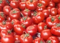 According To The Government, Tomatoes Would Be Sold At Rs 80 Per Kilogram From Today Nationwide