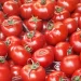 According To The Government, Tomatoes Would Be Sold At Rs 80 Per Kilogram From Today Nationwide