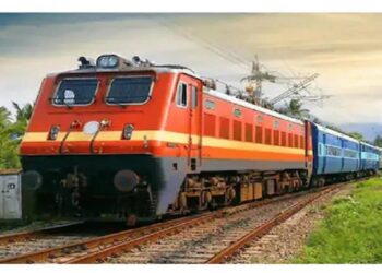 60 Goats Were Ran Over By A Railway In Vikarabad, Telangana