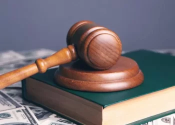 Despite The Father’s Request For Custody, The Child Welfare Committee Placed The Child Up For Adoption, According To The HC